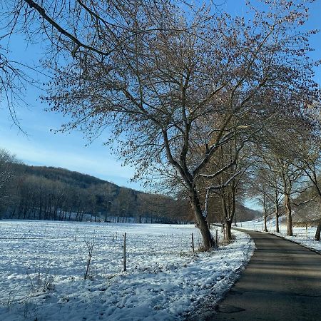 Gemuetliches Einfamilienhaus In Gera Mit 3 Schlafzimmern Mit Garten Und Parkplatz ภายนอก รูปภาพ